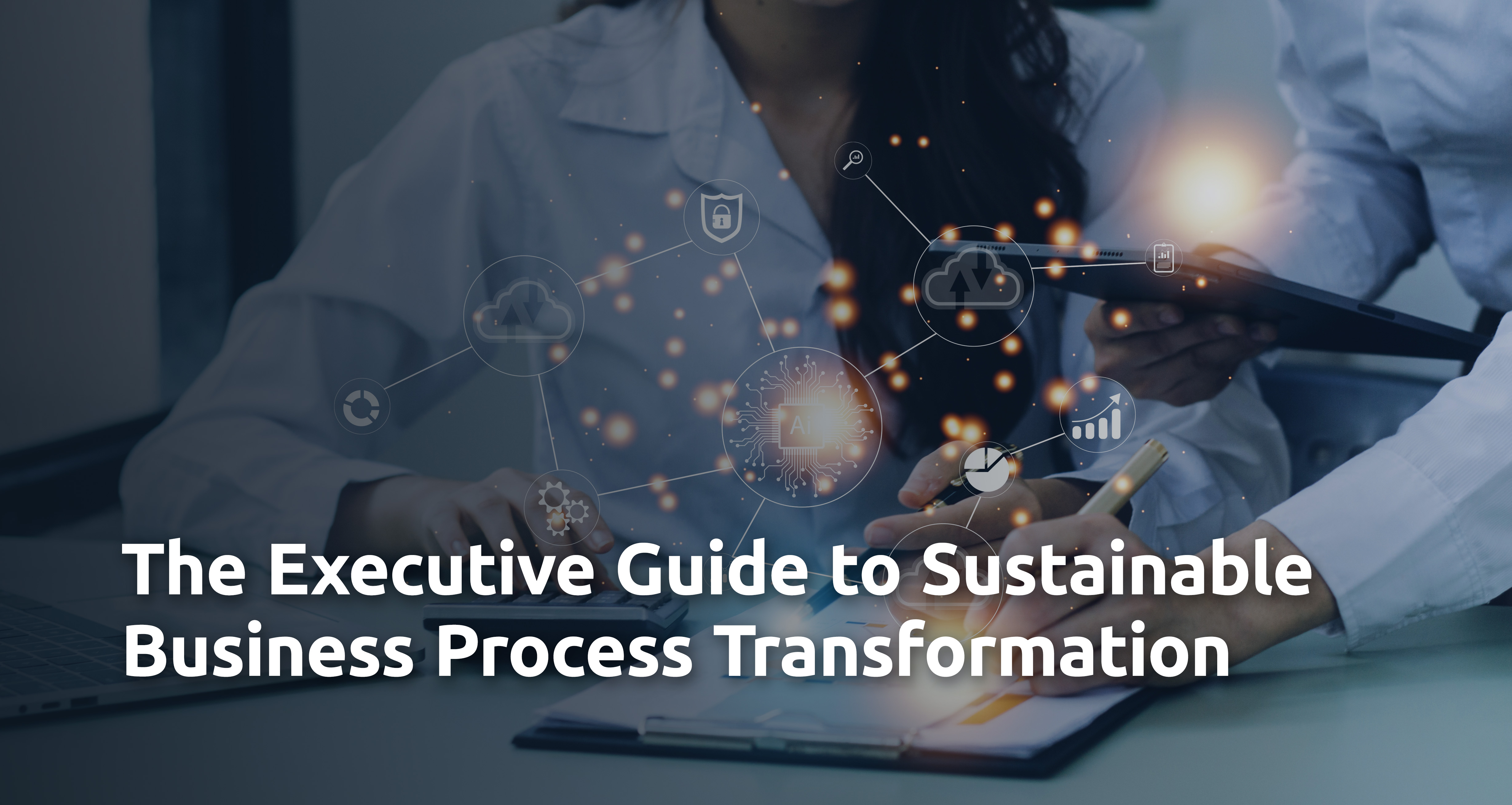 The Executive Guide to Sustainable Business Process Transformation